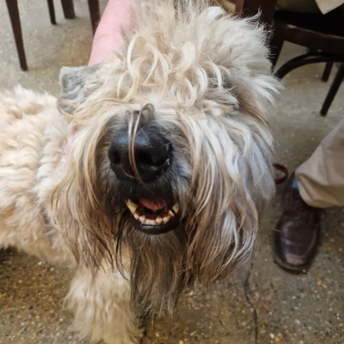 Mum Emily with daughter Estella